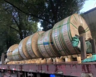 Professional Logistics & Packaging